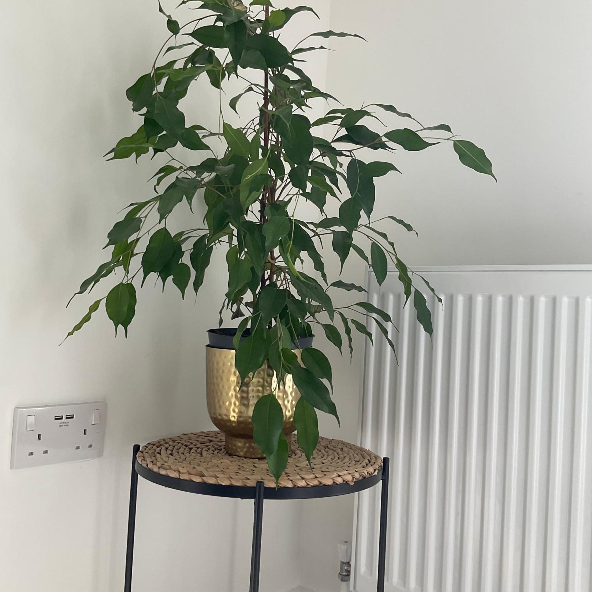 The Parkes A Stylish 3Br House, 5 Mins From Central Birmingham Close To The Edgbaston Stadium, The Hippodrome, Uob, Aston And Bcu, China Town, Kings Heath Bhx Airport And Much More Luaran gambar